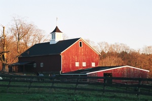 Barn